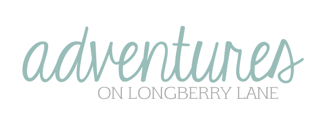Adventures on Longberry Lane