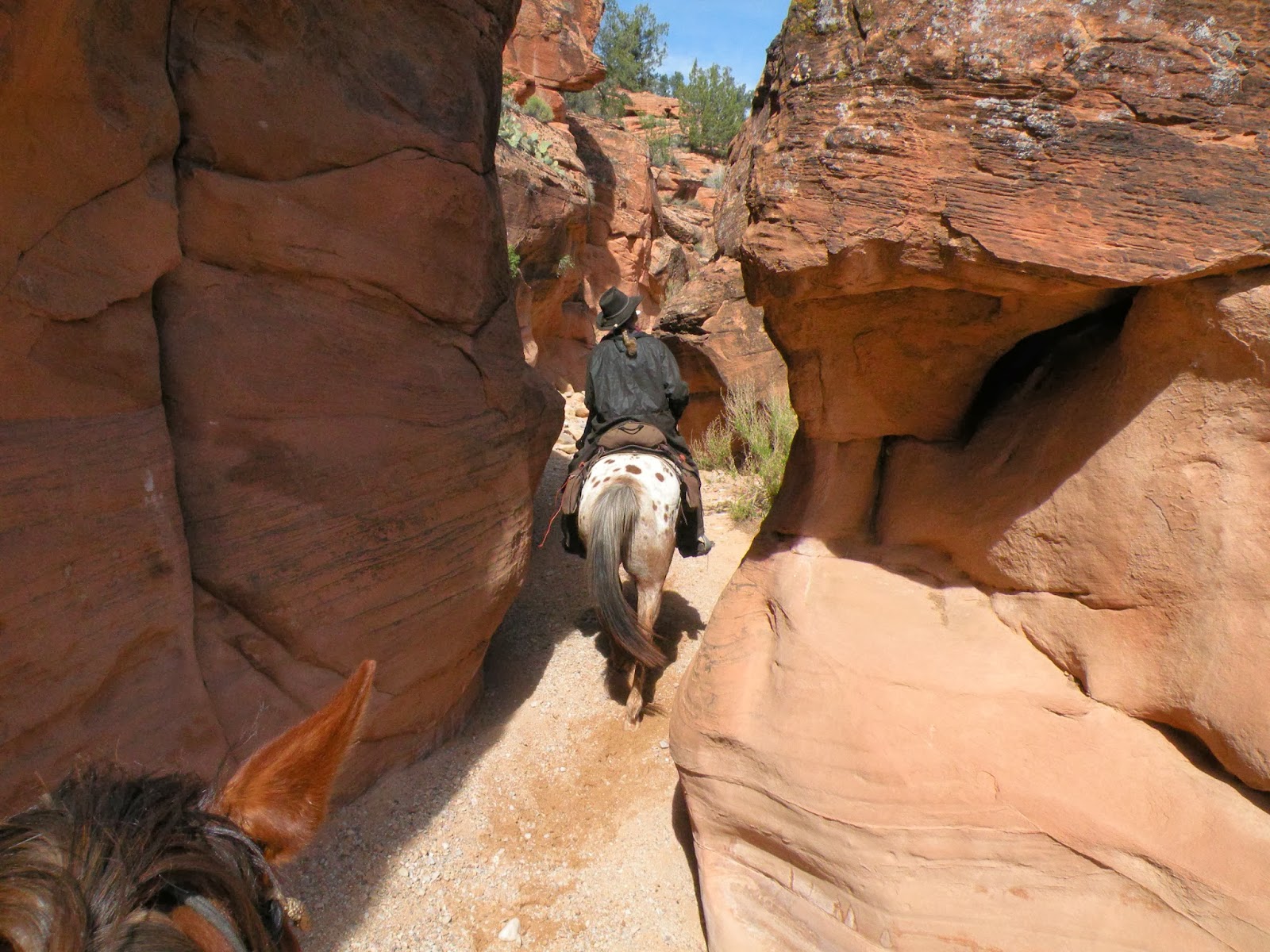Dream Packer Trail Adventures Gunlock State Park, Utah