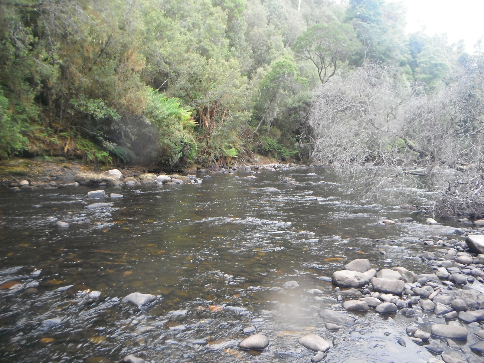 Cradle+Mountain+009.JPG