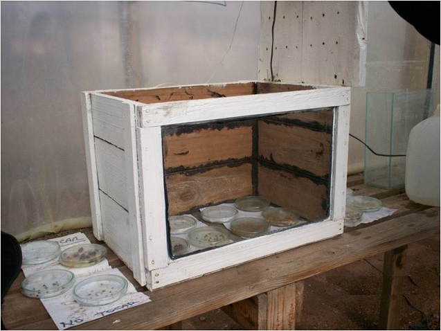 HORTALIZAS AL AIRE LIBRE Y EN INVERNADEROS: Germinadora artesanal de