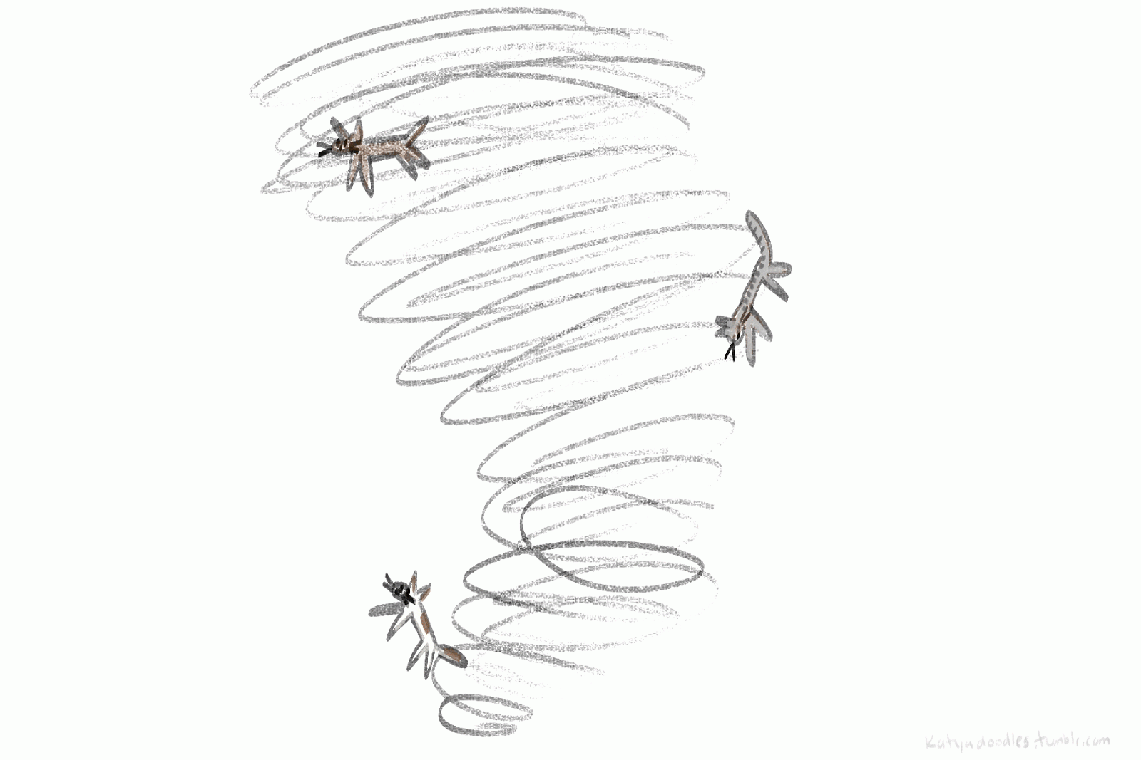 The Foski Blog CATNADO!!!