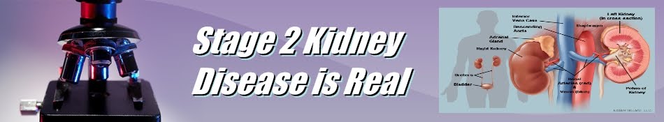 Stage 2 Kidney Disease