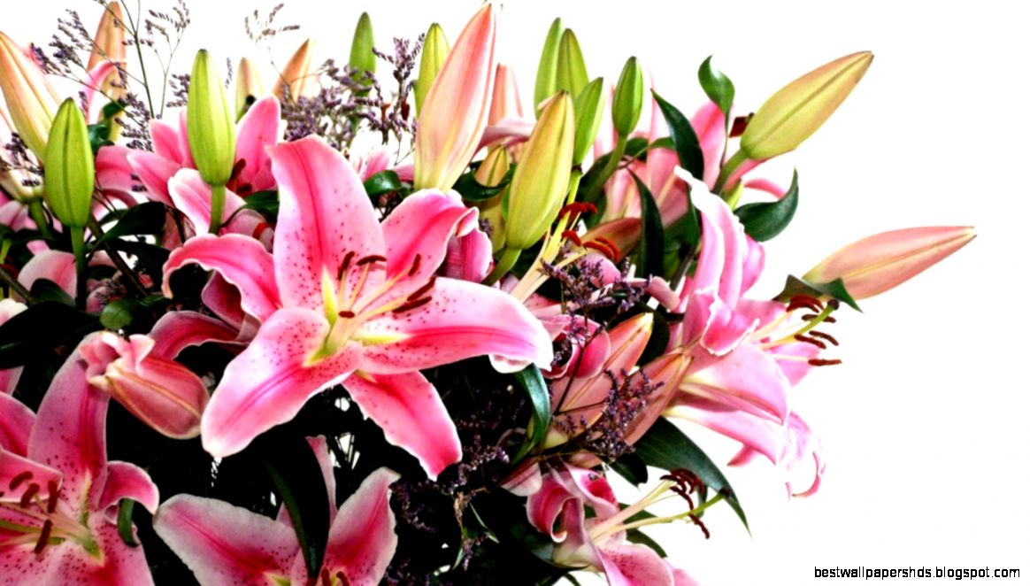 Beautiful Flower Bouquet Wallpaper 7019777 Beautiful Flower Bouquet Wallpaper 7019777