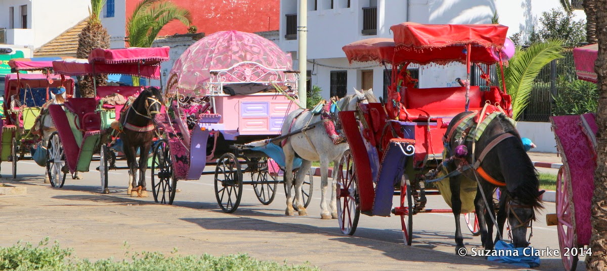 Moroccan culture essay picture