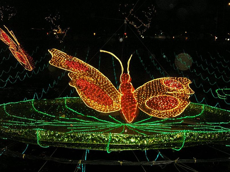 the language journal the fantastic christmas lights of the language journal the fantastic christmas lights of