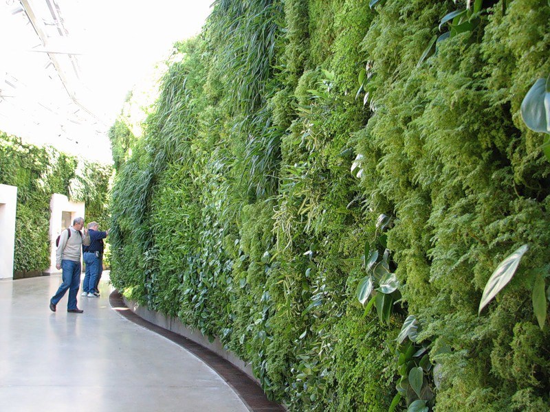xoxpedia: Amazing Vertical Gardens