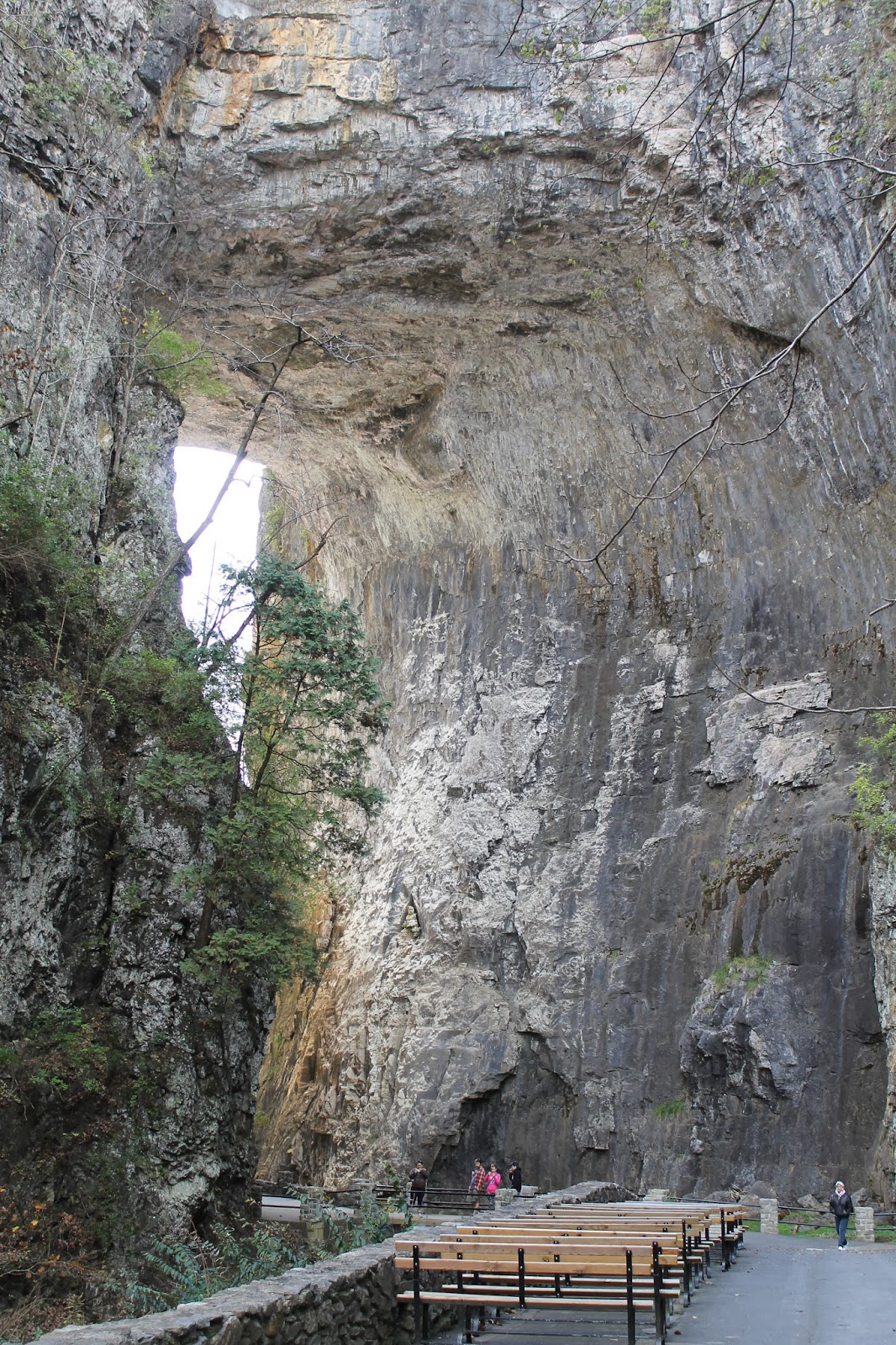 She Trippin' Miracle in Stone Natural Bridge, Virginia
