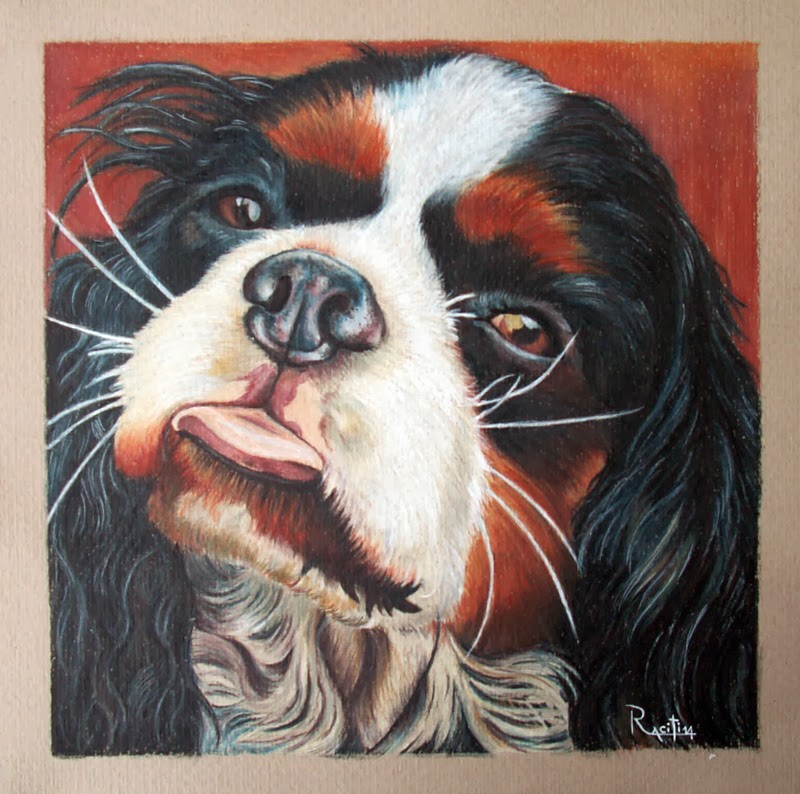 Cavalier king charles spaniel matite colorate derwent su carta canson Cavalier king charles spaniel matite colorate derwent su carta canson