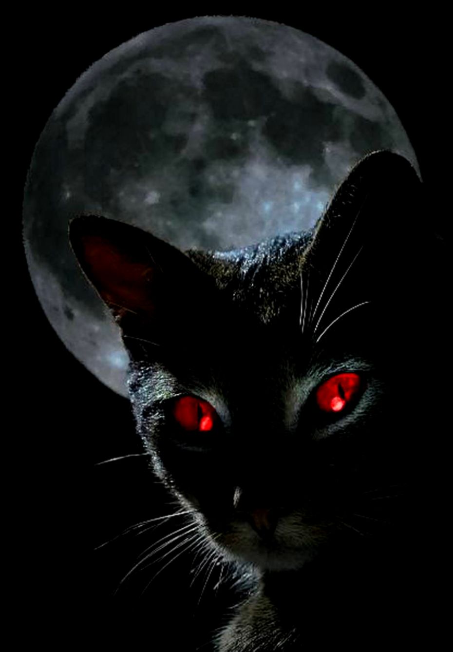 Black Cat Red Eyes Hd Wallpaper | High Definitions Wallpapers