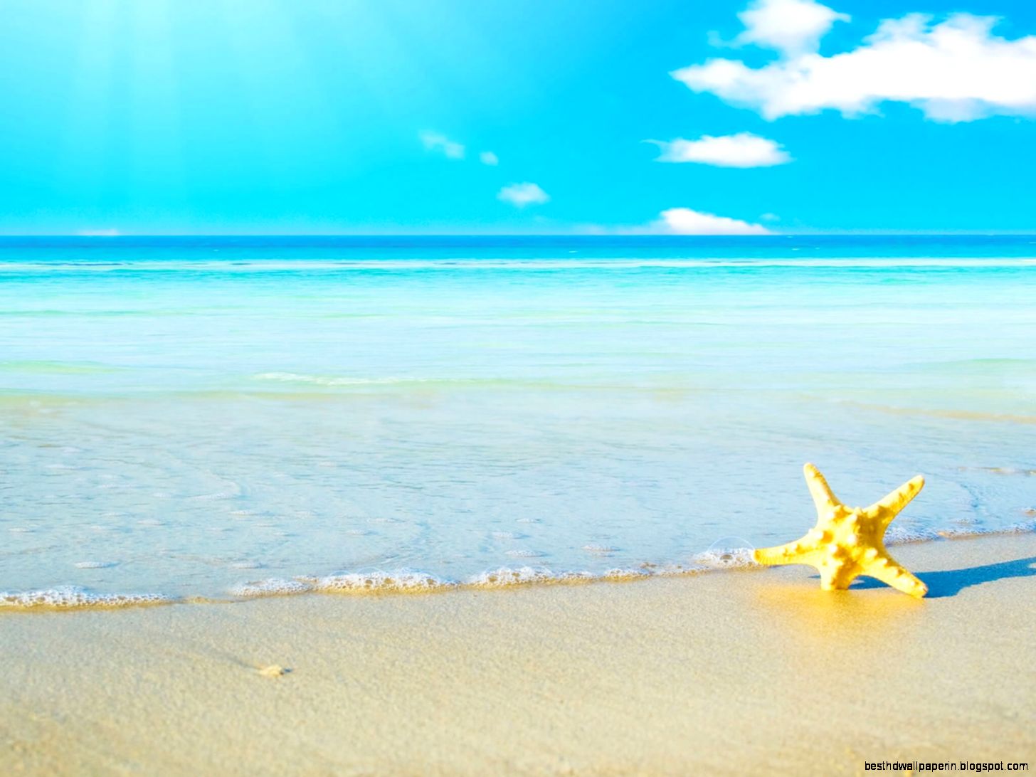 Summer Beaches Summer Beaches