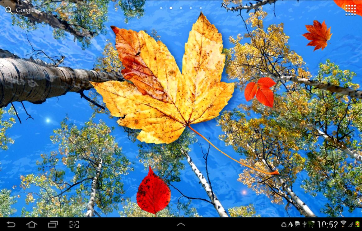 Autumn Leaves Live Wallpaper Android Apps on Google Play Autumn Leaves Live Wallpaper Android Apps on Google Play
