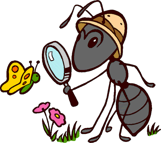 ants gif