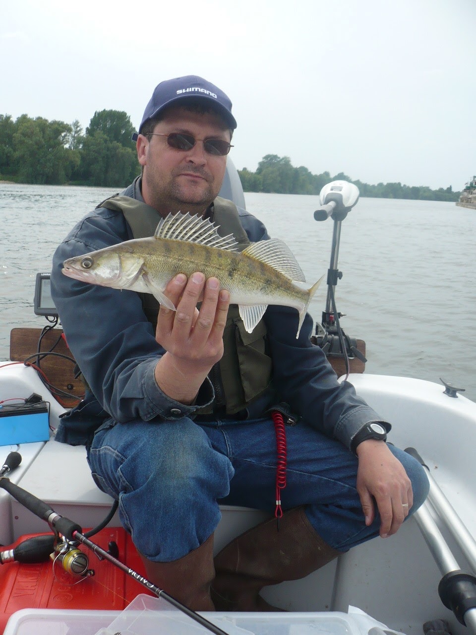 Ouverture carnassier