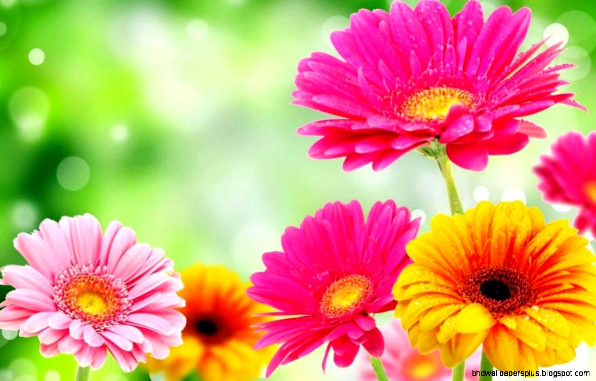 Spring Flower  Decoration New Spring Flower  Decoration New