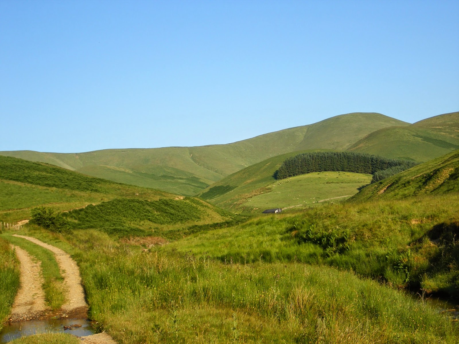 country farm landscape with hills and path in summer in scotland