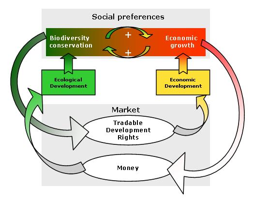 industrial development leads to ecological imbalance Development of economies in kenya an imbalance is resulting from heavy ecological agri-industrial practices. industrial development leads to ecological imbalance Development of economies in kenya an imbalance is resulting from heavy ecological agri-industrial practices.