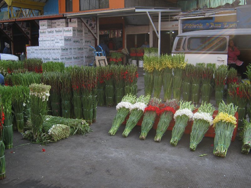 El cuexcomate: Cuatro mercados (3) Flores en la Central de Abasto