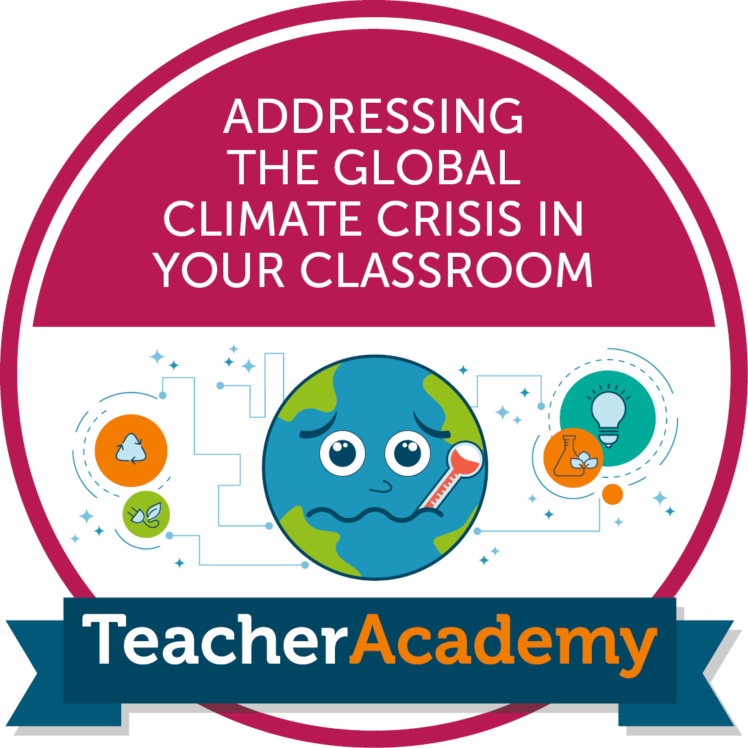 TEACHER ACADEMY