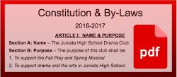 Our Constitution & Bylaws