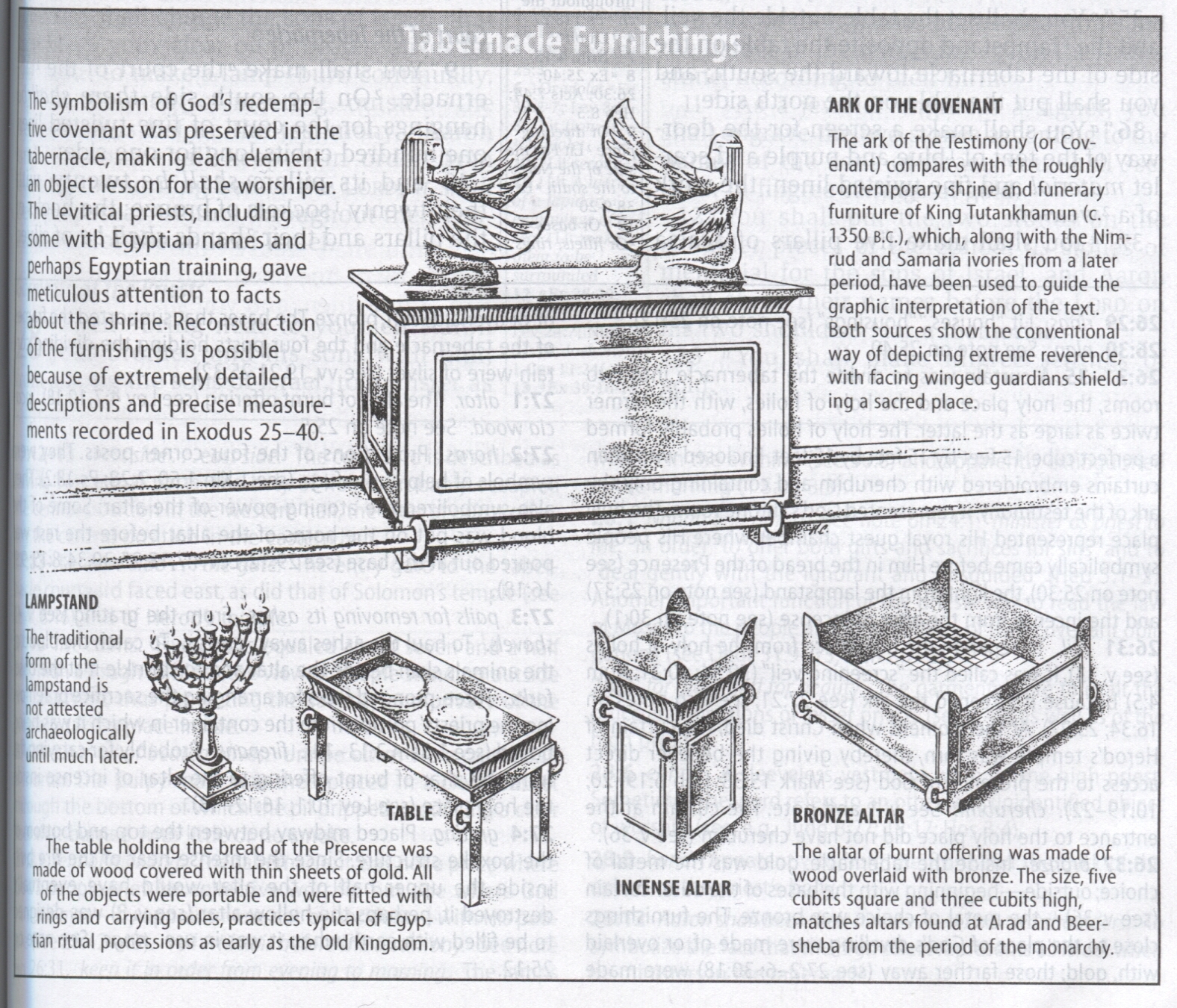 The Bible Hunter Zondervan NASB Study Bible