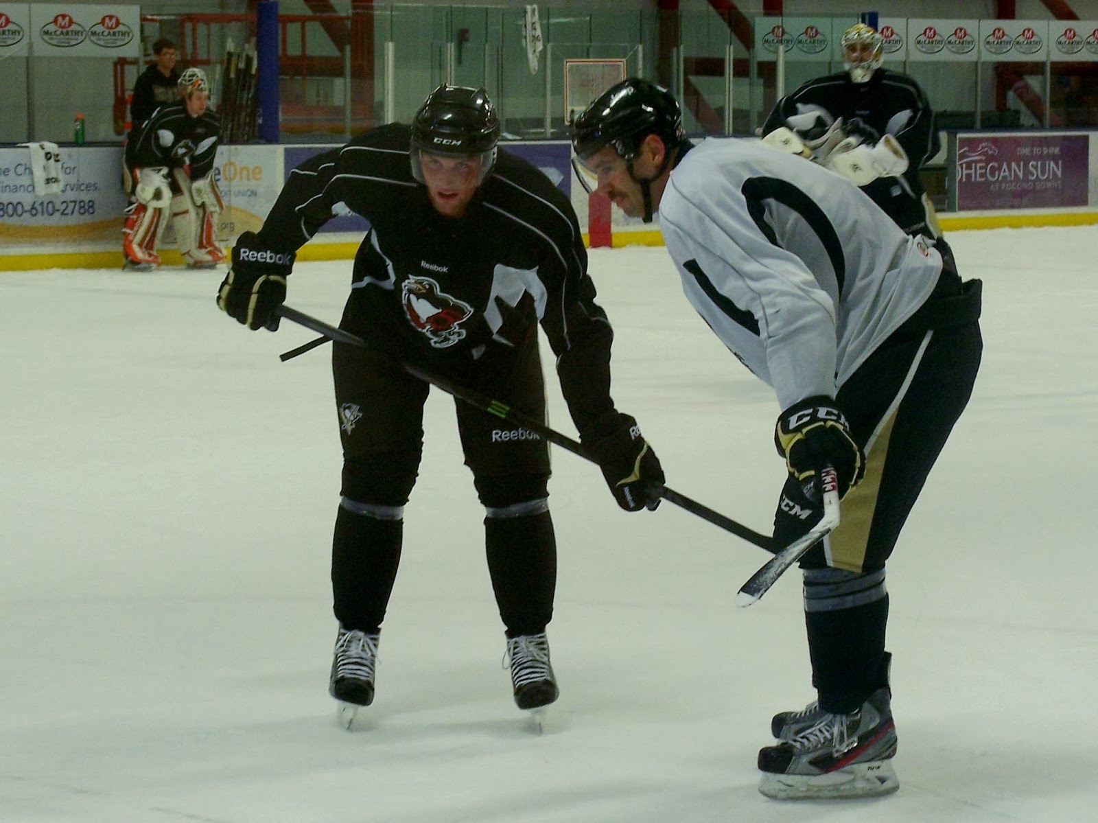 PITTSBURGH ASSIGNS 11 TO WBS TRAINING CAMP