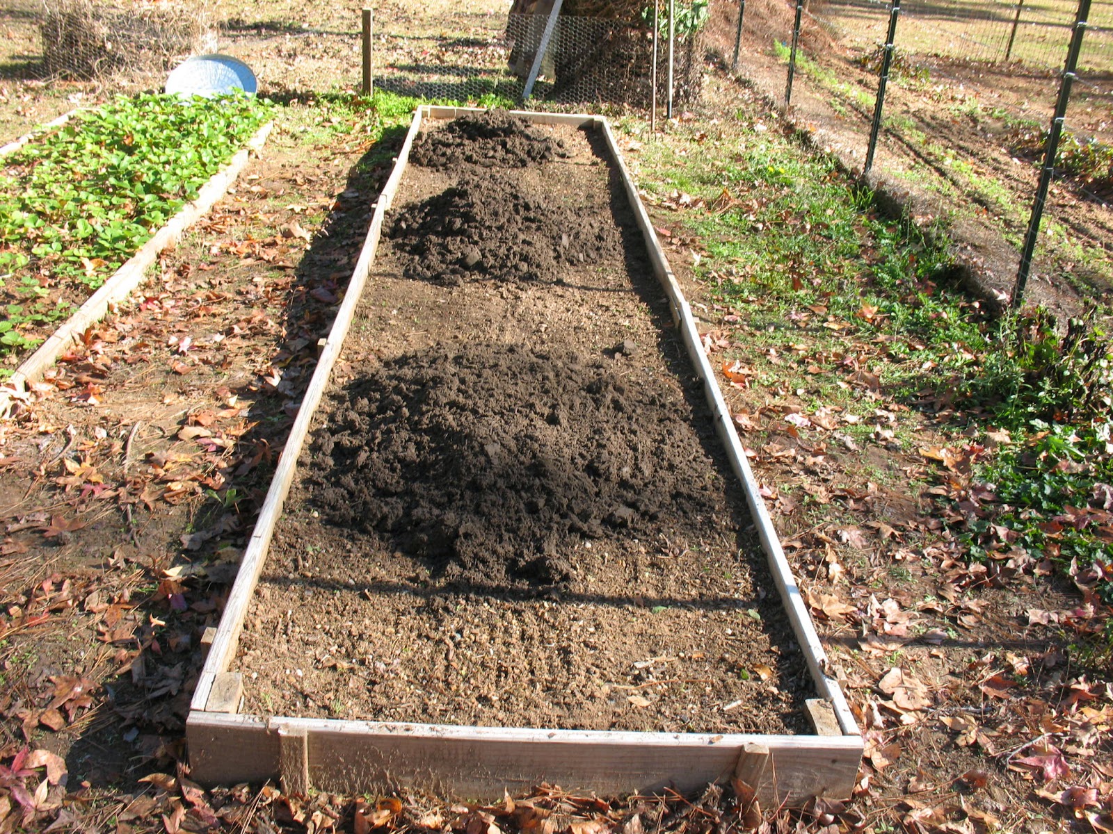 Sensible Survival Winter Care for Your Asparagus Beds