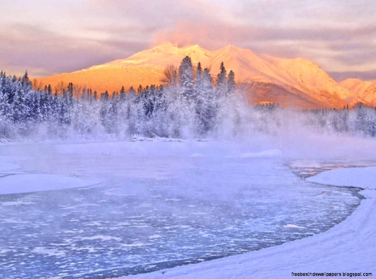 1280x720 Mountain Forest Sea Fog Winter Vimeo Cover Image 1280x720 Mountain Forest Sea Fog Winter Vimeo Cover Image