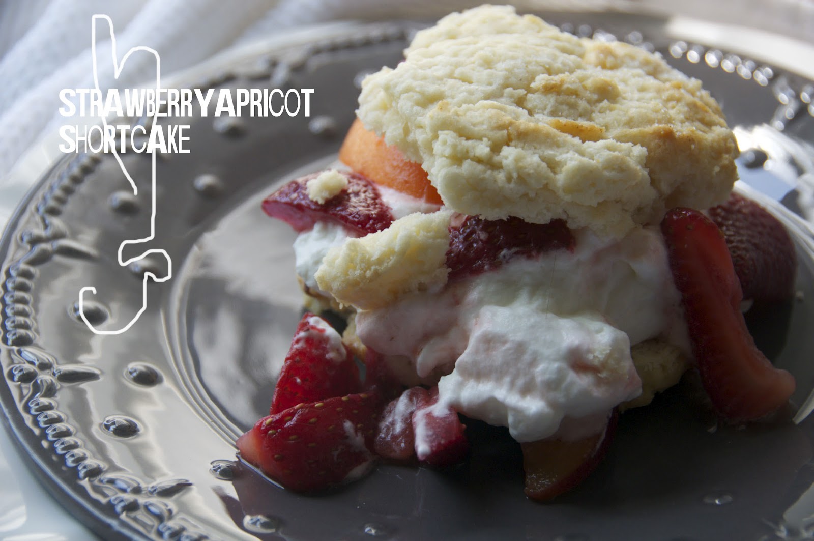see you in the morning strawberry apricot shortcakes