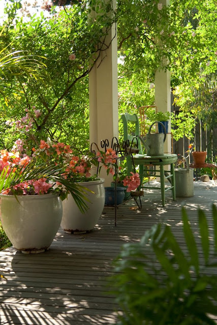 beachcomber: small space garden ideas