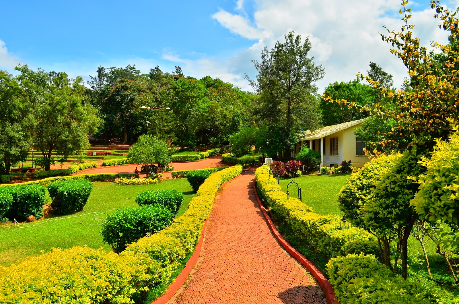 Sharath Hassan A Travelling Photographer Art Of Living, kanakapura