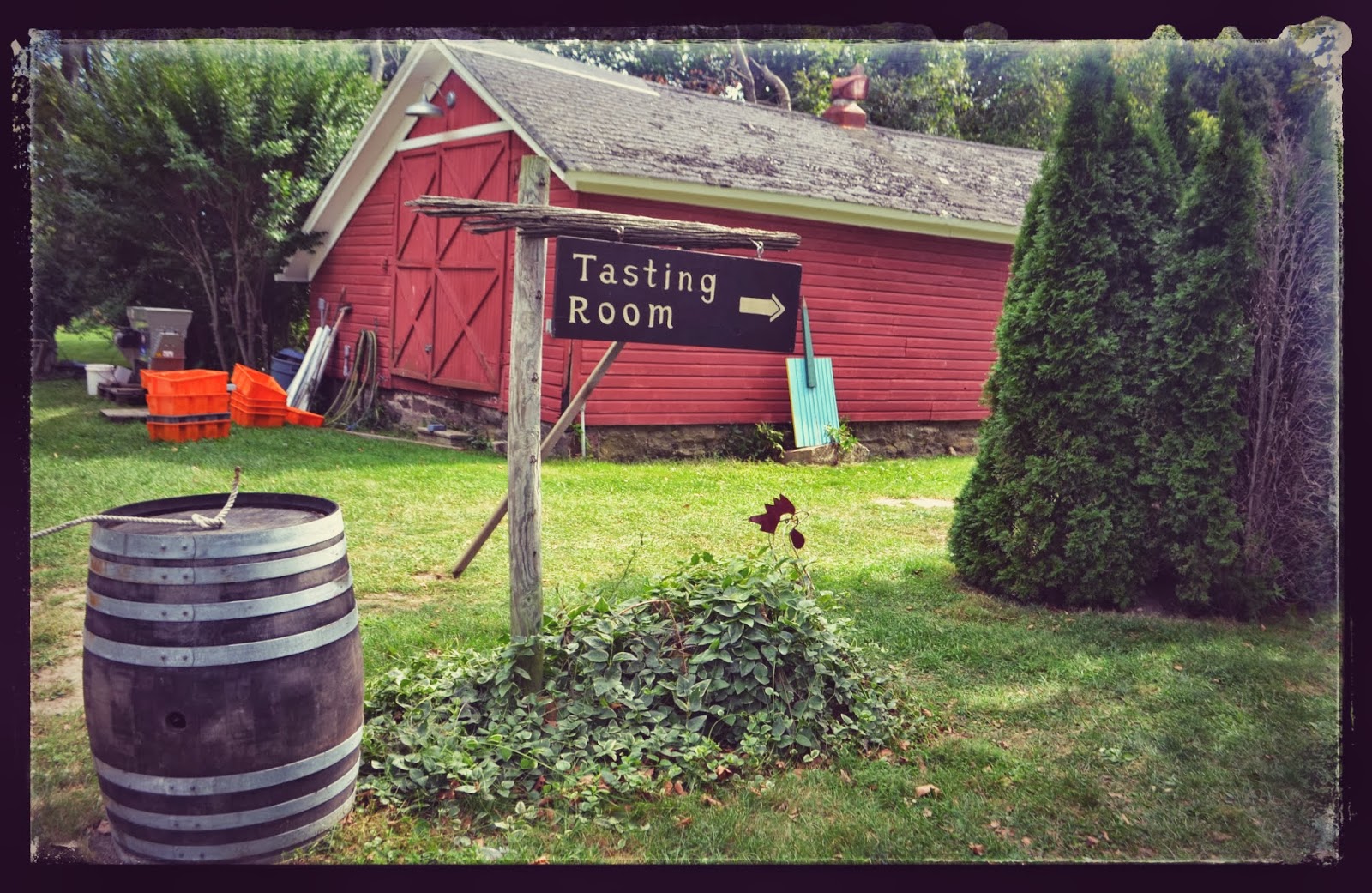 Long Island Winery The Old Field