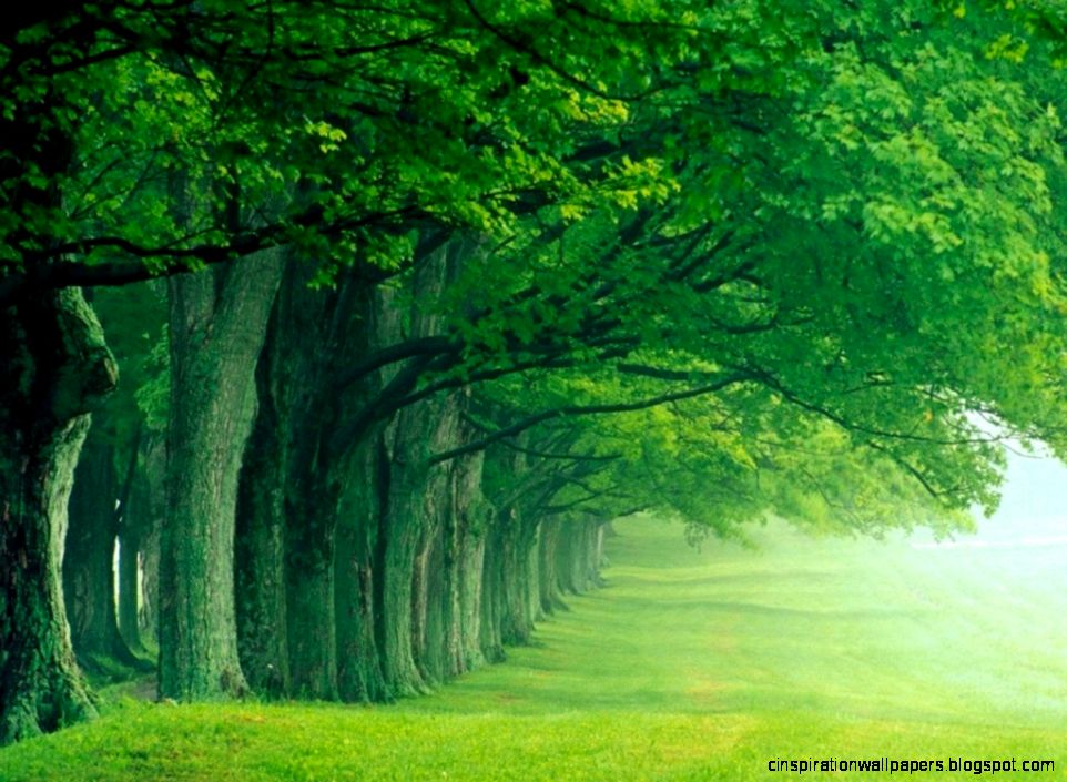 Nature Wallpaper Hd For Desktop Free Download Latest Wallpaper Nature Wallpaper Hd For Desktop Free Download Latest Wallpaper