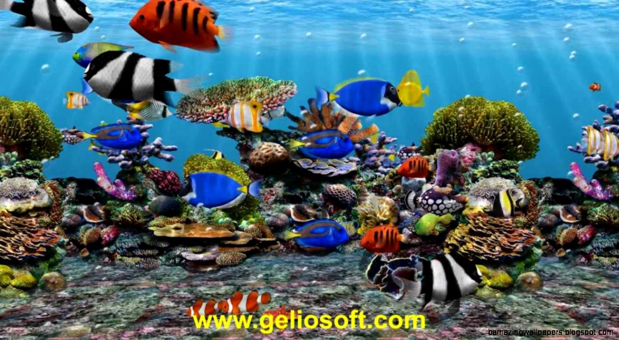 3D Fish School Aquarium Screensaver   Geliosoft   YouTube 3D Fish School Aquarium Screensaver   Geliosoft   YouTube