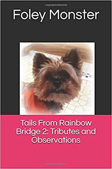 Tails From Rainbow Bridge II:  Tributes and Observations