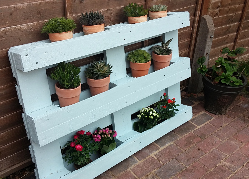 Changi Airport Nursery Poseidon