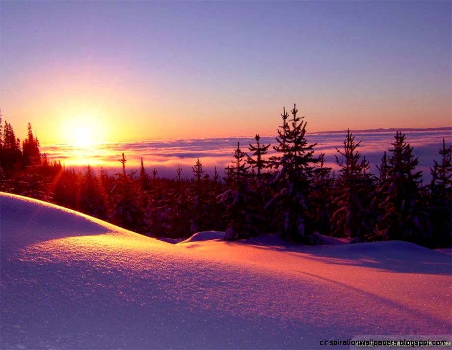 Winter Sunset Winter Sunset