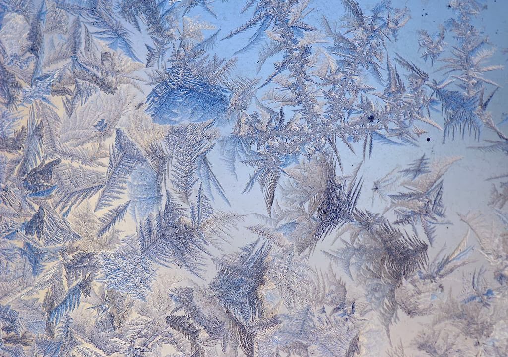 Frost on Glass Ice Flower Art Kuriositas