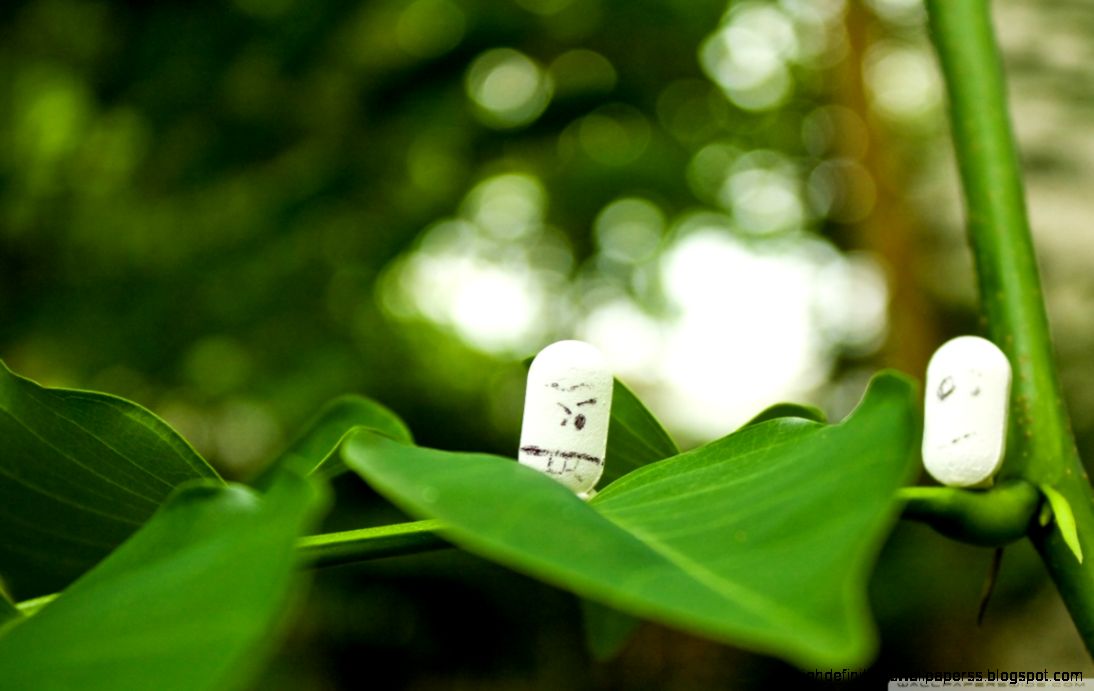Funny Pills HD desktop wallpaper High Definition Fullscreen Funny Pills HD desktop wallpaper High Definition Fullscreen