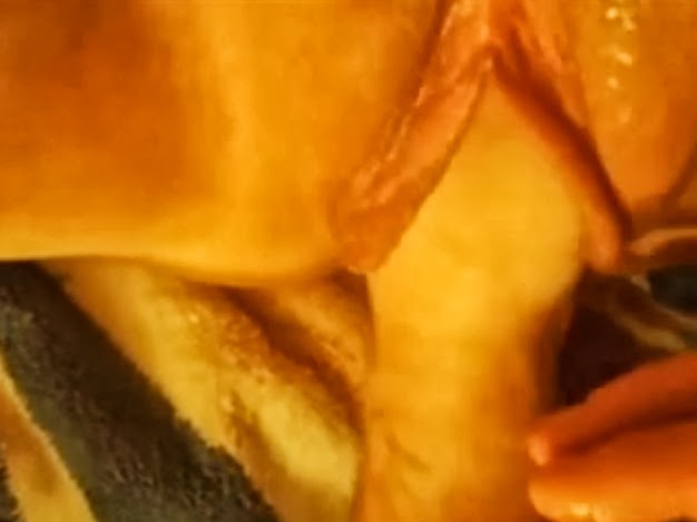 gratis pornoklip pornogratis gratis pornoklip pornogratis