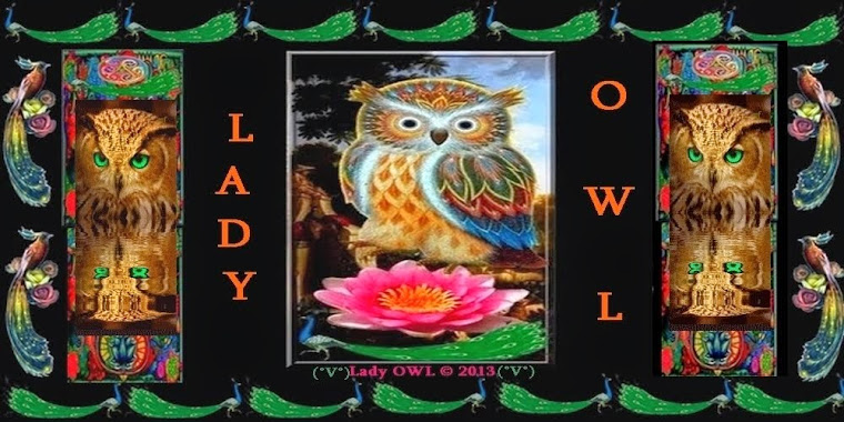 LADY OWL (OvO)