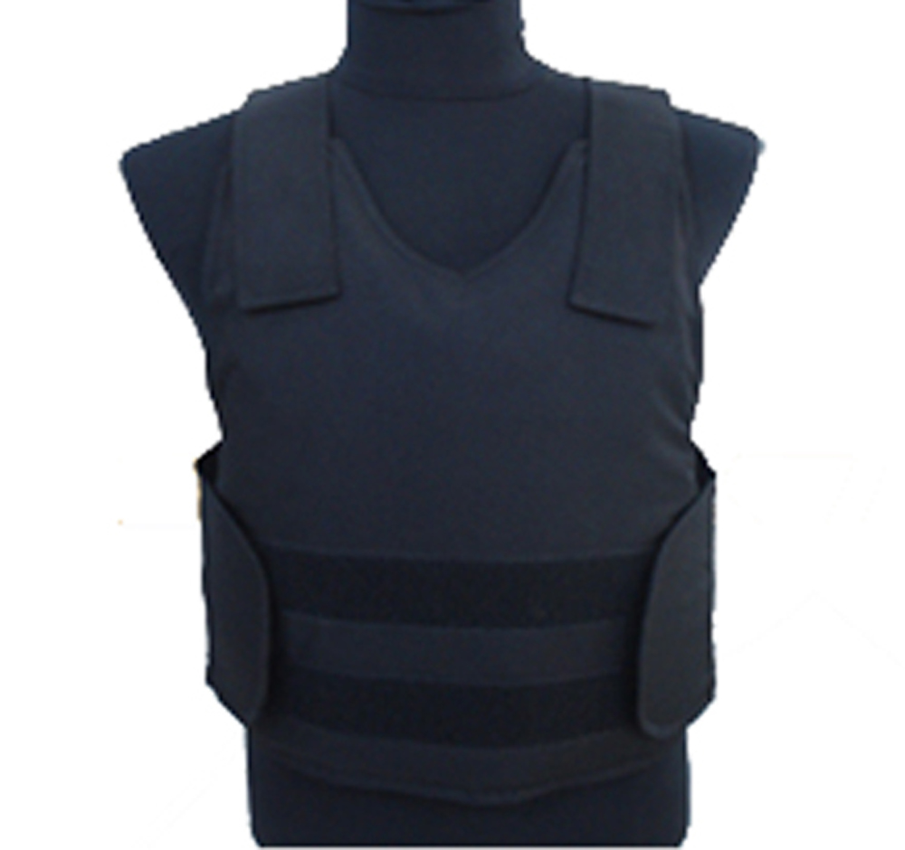 The Bullet Proof Vest January 2012