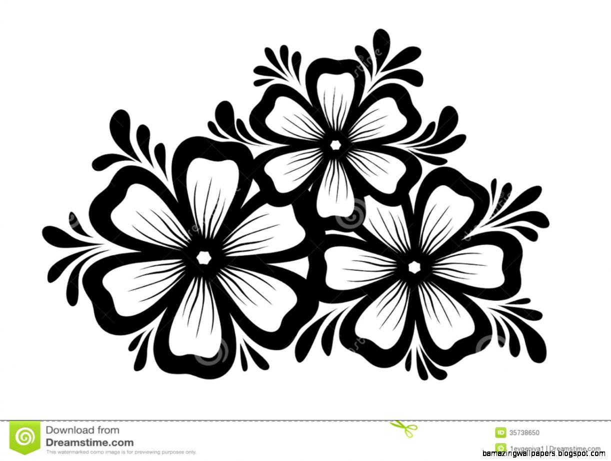 Beautiful Fl Element Black and white Flowers And Leaves Beautiful Fl Element Black and white Flowers And Leaves