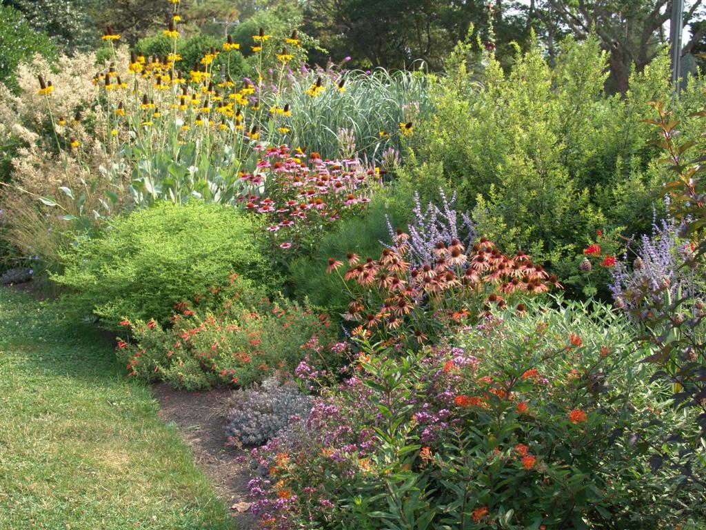 The Garden Plot For The Love Of Birds In Your Backyard Habitat