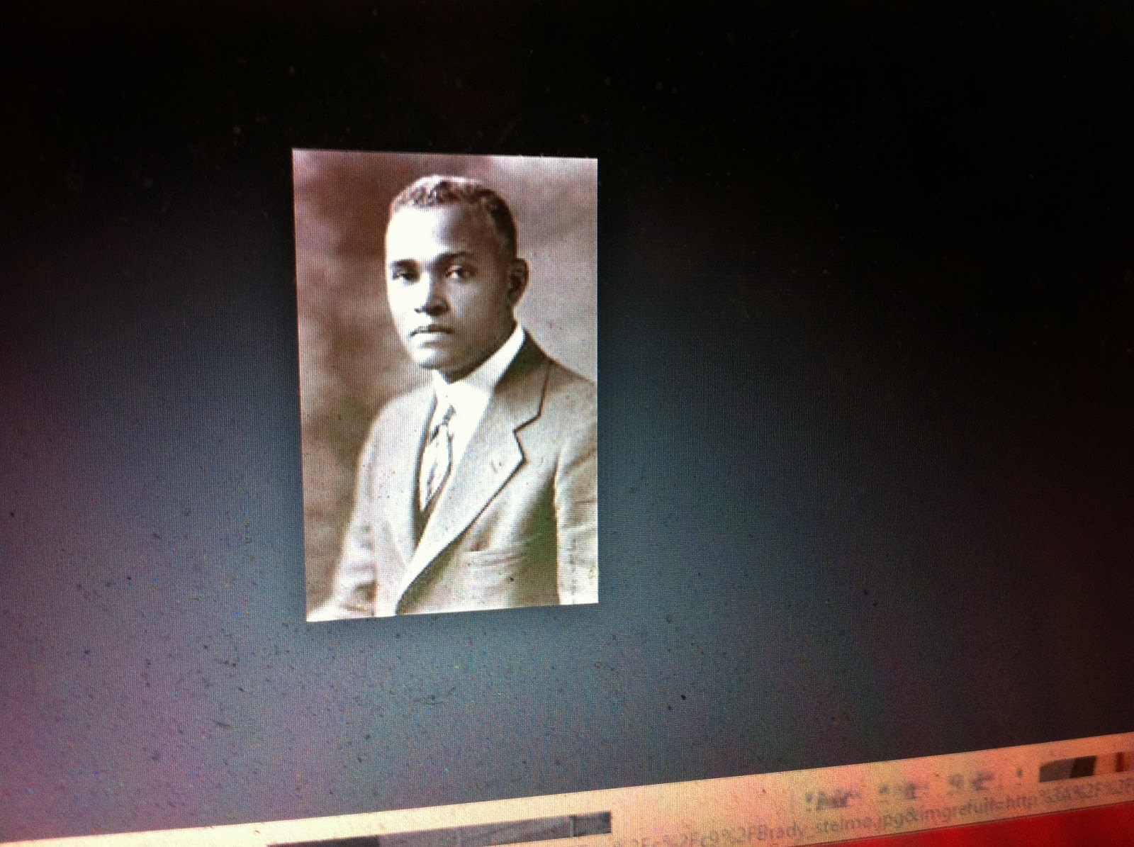 THE BLACK SOCIAL HISTORY BLACK SOCIAL HISTORY AFRICAN AMERICAN " ST