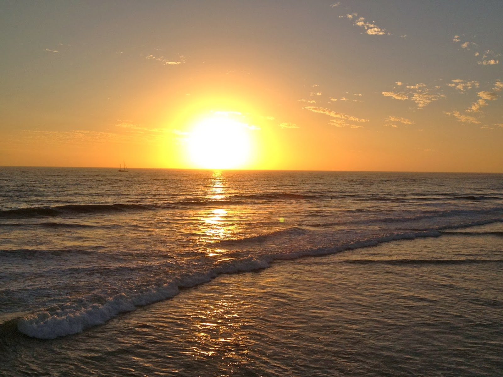 San Diego's Best January 2014