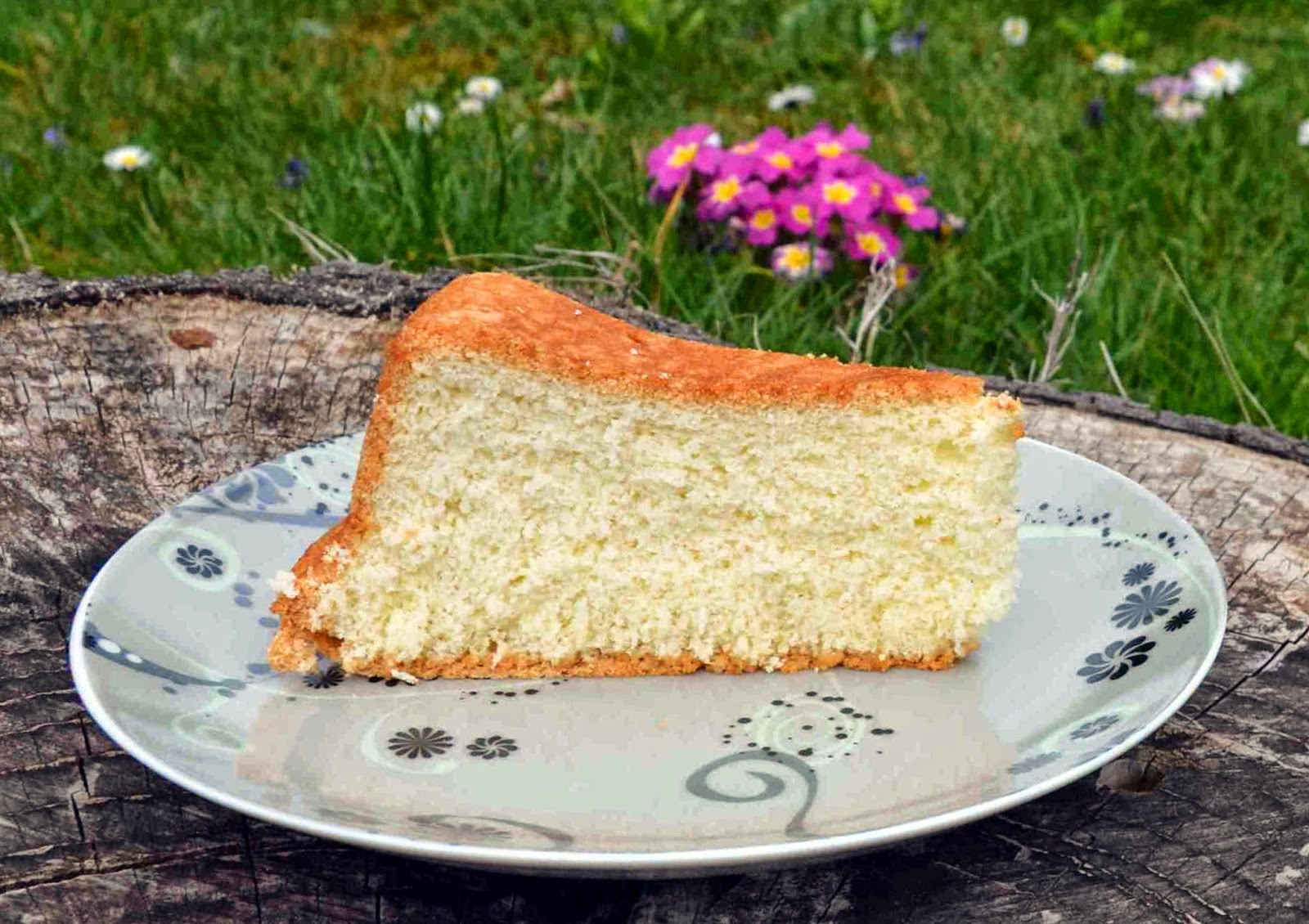 Sucrissime Le Cri Du Biscuit De Savoie