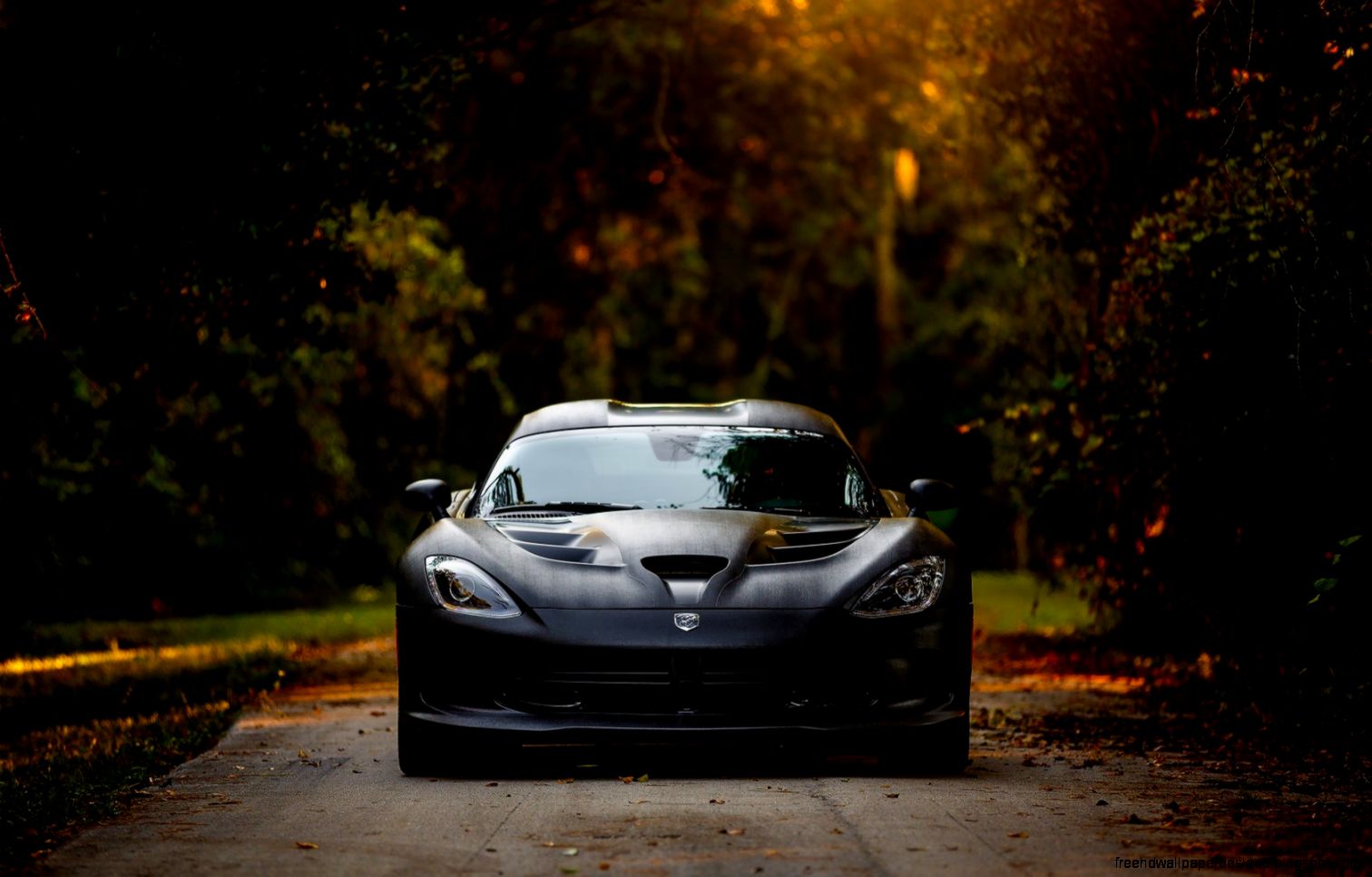 Dodge Viper Car Road Hd Wallpaper Wallpaper List Dodge Viper Car Road Hd Wallpaper Wallpaper List