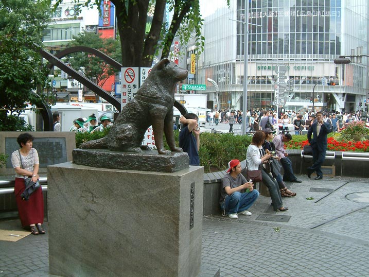 Hachiko Photos