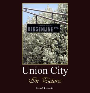 Union City in Pictures (Book)