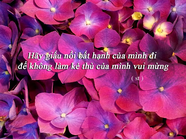 Những câu danh ngôn về cuộc sống hay và ý nghĩa - Hình 10 Những câu danh ngôn về cuộc sống hay và ý nghĩa - Hình 10